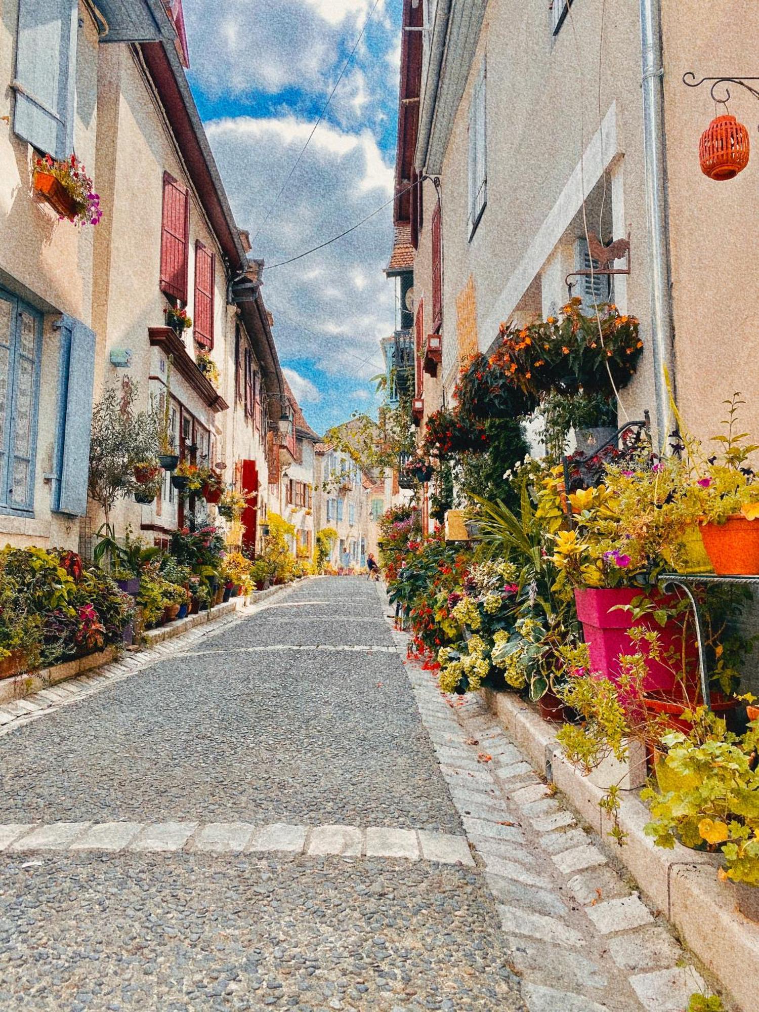 Agreable Petit Gite Avec Piscine Et Jardinet Salies-de-Béarn Εξωτερικό φωτογραφία