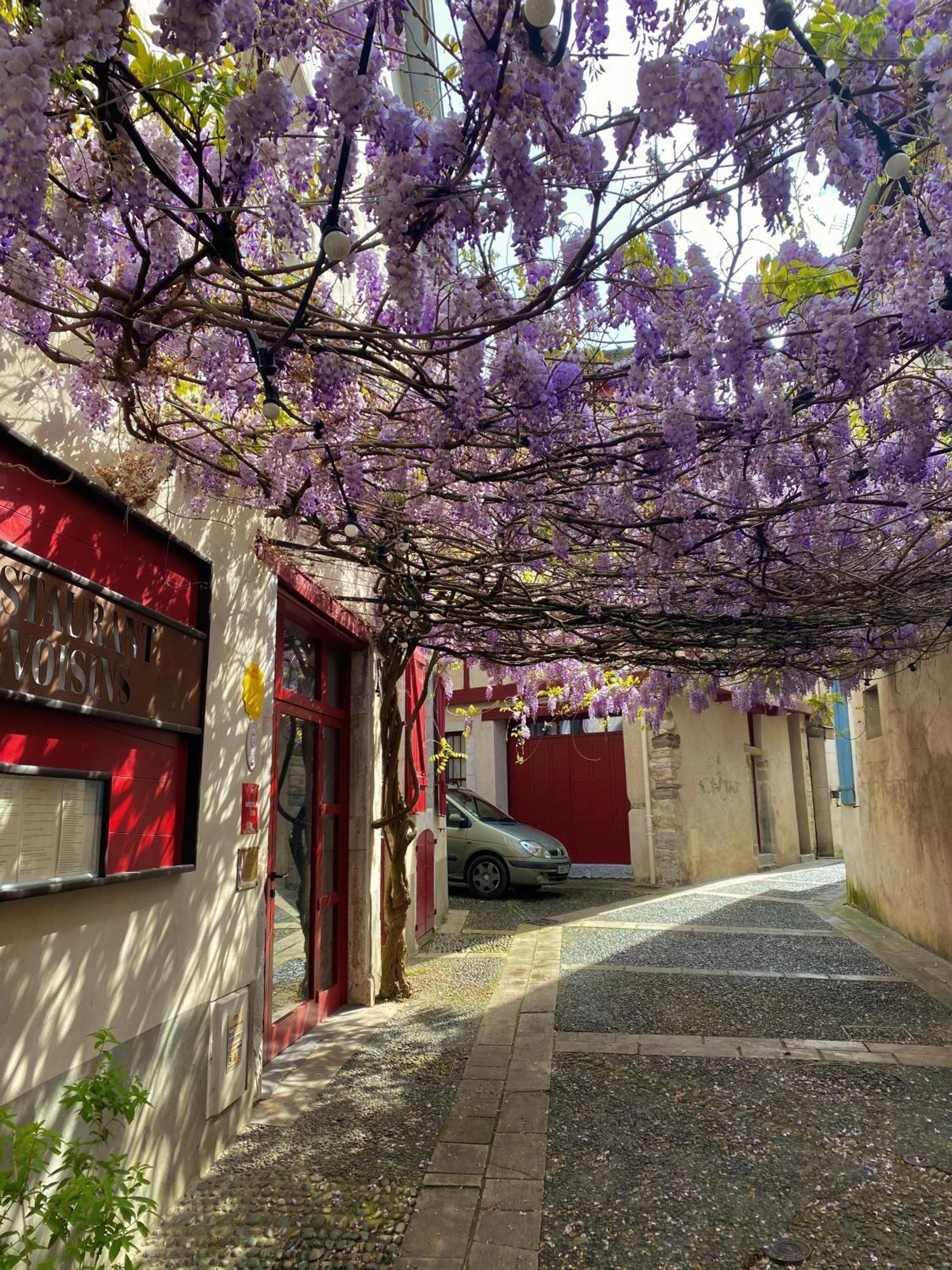 Agreable Petit Gite Avec Piscine Et Jardinet Salies-de-Béarn Εξωτερικό φωτογραφία